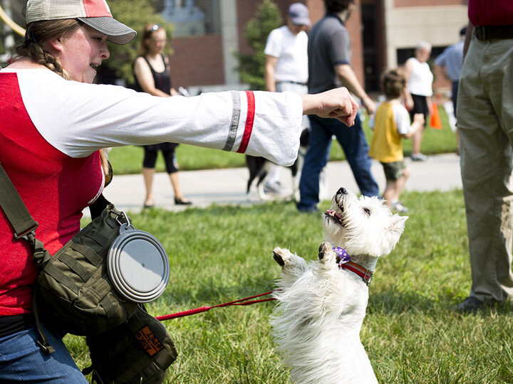 180811_Dog_Fest_023
