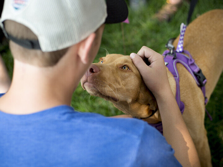 20230927-dogfest-01-nt