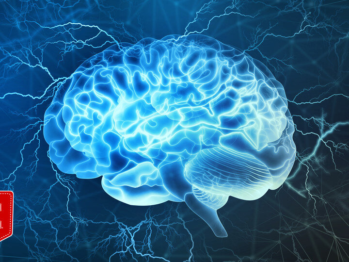shutterstock_719796733_1