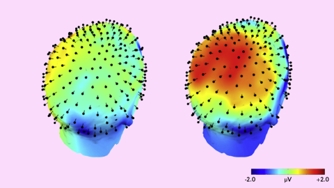 A rendering of attention-related brain activity in socially contemplative people when they were included (left) vs. excluded (right) from a game. Blue indicates less activity, with red representing more.