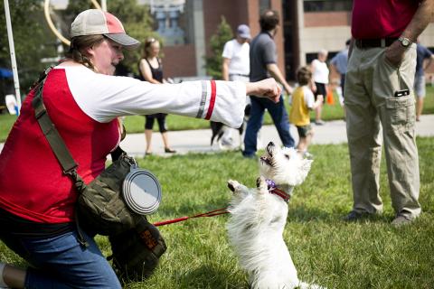 A dog showcases his tricks for the "Dogs Got Talent" competition during the inaugural Husker DogFest on Aug. 11, 2018, at the University of Nebraska–Lincoln. The second DogFest is planned for Sept. 21.